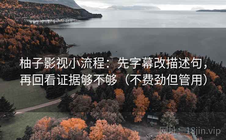 柚子影视小流程：先字幕改描述句，再回看证据够不够（不费劲但管用）